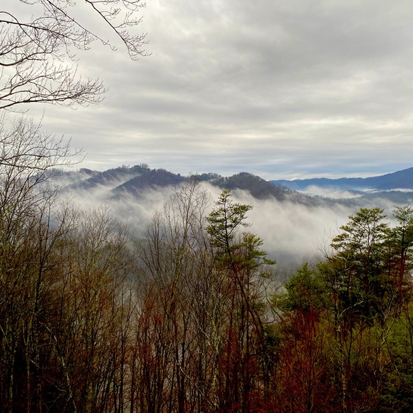 Meet your Posher, Skylar - Picture 1 of 1